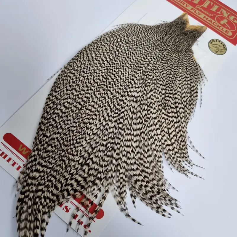 Whiting Gold Grade Rooster Cape in Grizzly A